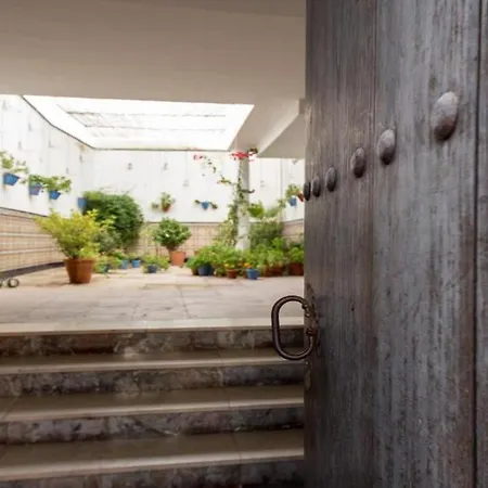 Ilusion Andaluza * Córdoba